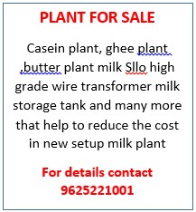 Plant for sale